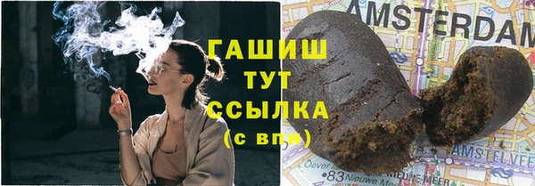 прущие грибы Алзамай