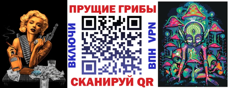 Галлюциногенные грибы Psilocybine cubensis  Касимов 
